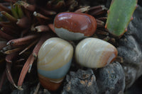 Polished Small Polychrome Jasper (Picasso Jasper) Free Forms  - Sold per 1 kg - From Madagascar - Toprock Gemstones and Minerals 