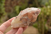 Natural Medium Sized Red Hematoid Phantom Quartz Crystals  x 8 From Karoi, Zimbabwe - TopRock