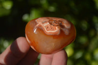 Polished Carnelian Agate Palm Stones  x 14 From Madagascar