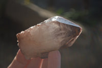 Natural Red Hematoid Quartz Specimens x 12 From Karoi, Zimbabwe