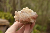 Natural Red Hematoid Phantom Quartz Crystals  x 4 From Karoi, Zimbabwe - TopRock