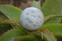 Polished Blue Spotted Spinel Quartz Spheres x 6 From Madagascar