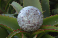 Polished Rubellite Pink Tourmaline Matrix Spheres x 2 From Madagascar