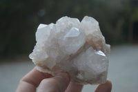 Natural White Spirit Cactus Quartz Clusters  x 6 From Boekenhouthoek, South Africa - Toprock Gemstones and Minerals 