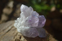 Natural Jacaranda Amethyst Clusters  x 3 From Mumbwa, Zambia - Toprock Gemstones and Minerals 