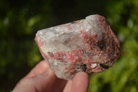 Natural Rough Red Rhodonite Specimens x 4 From Zimbabwe