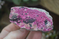 Natural Salrose Cobaltion Dolomite Specimens x 12 From Kakanda, Congo