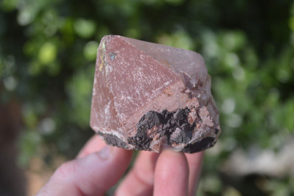 Natural Smokey Hematoid Quartz Crystals  x 12 From Madagascar