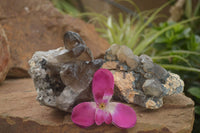 Natural Smokey Quartz Crystal Specimens  x 2 From Erongo Mountains, Namibia - TopRock