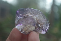 Natural Large Smokey Amethyst / Window Amethyst Crystals  x 12 From Chiredzi, Zimbabwe - Toprock Gemstones and Minerals 