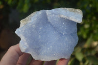 Natural Blue Lace Agate Geode Specimens  x 9 From Nsanje, Malawi - Toprock Gemstones and Minerals 