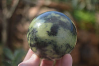 Polished Leopard Stone Eggs & Spheres  x 4 From Zimbabwe - TopRock