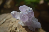 Natural Jacaranda Amethyst Clusters  x 3 From Mumbwa, Zambia - Toprock Gemstones and Minerals 