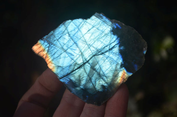 Polished One Side Polished Labradorite Slices  x 12 From Madagascar