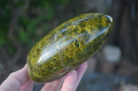 Polished Green Opal Standing Free Forms  x 2 From Antsirabe, Madagascar - Toprock Gemstones and Minerals 