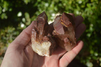 Natural Red Hematoid Quartz Specimens x 12 From Karoi, Zimbabwe