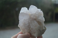 Natural White Spirit Cactus Quartz Clusters  x 6 From Boekenhouthoek, South Africa - Toprock Gemstones and Minerals 