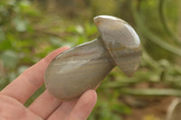 Polished Polychrome / Picasso Jasper Mushrooms  x 6 From Madagascar - TopRock