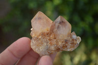 Natural Small Mixed Spirit Quartz Crystals & Clusters  x 35 From Boekenhouthoek, South Africa - Toprock Gemstones and Minerals 