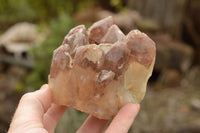 Natural Red Hematoid Quartz Clusters  x 6 From Karoi, Zimbabwe - TopRock