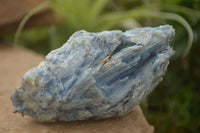 Natural Blue Kyanite In Matrix Specimens  x 3 From Karoi, Zimbabwe - TopRock