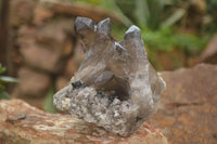 Natural Smokey Quartz Crystal Specimens  x 2 From Erongo Mountains, Namibia - TopRock