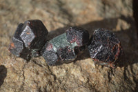 Natural Red Pyrope Garnet Crystals  x 70 From Zimbabwe