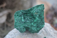 Natural Chatoyant Silky Malachite Specimens  x 12 From Kasompe, Congo - Toprock Gemstones and Minerals 