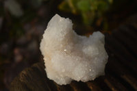 Natural White Cactus Flower Spirit Quartz Specimens x 12 From Boekenhouthoek, South Africa