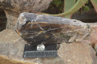 Polished  Large Morion Smokey Quartz Crystals  x 2 From Zimbabwe