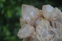 Natural Cascading White Phantom Smokey Quartz Clusters  x 3 From Luena, Congo - Toprock Gemstones and Minerals 