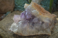 Natural Jacaranda Amethyst Cluster x 1 From Mumbwa, Zambia - TopRock