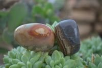 Polished Small Polychrome Jasper (Picasso Jasper) Free Forms  - Sold per 1 kg - From Madagascar - Toprock Gemstones and Minerals 