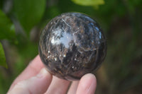 Polished  Chatoyant Black Moonstone Spheres  x 6 From Madagascar