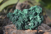 Natural Chatoyant Silky Malachite Specimens  x 6 From Congo - Toprock Gemstones and Minerals 