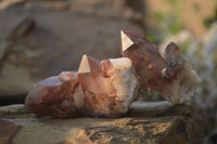 Natural Red Hematoid Quartz Specimens x 24 From Karoi, Zimbabwe