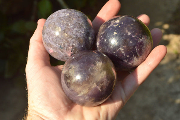 Polished Purple Lepidolite Spheres  x 5 From Madagascar - TopRock