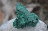 Natural Chatoyant Silky Malachite Specimens  x 12 From Kasompe, Congo - Toprock Gemstones and Minerals 