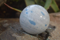 Polished Blue Spotted Spinel Quartz Spheres x 6 From Madagascar