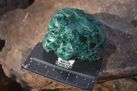 Natural Chatoyant Silky Malachite Specimens  x 6 From Congo - Toprock Gemstones and Minerals 