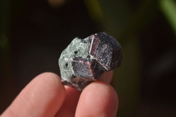 Natural Red Pyrope Garnet Crystals  x 70 From Zimbabwe