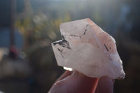 Natural Smokey Hematoid Quartz Crystals  x 12 From Madagascar