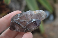 Natural Large Smokey Amethyst / Window Amethyst Crystals  x 12 From Chiredzi, Zimbabwe - Toprock Gemstones and Minerals 