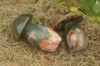 Polished Polychrome / Picasso Jasper Mushrooms  x 6 From Madagascar - TopRock