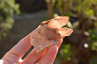 Natural Red Hematoid Phantom Quartz Crystals  x 35 From Karoi, Zimbabwe - TopRock