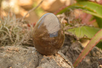 Polished Large Morion Smokey Quartz Eggs x 5 From Madagascar - TopRock