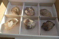 Natural Large Smokey Window Brandberg Quartz Crystals x 6 From Brandberg, Namibia