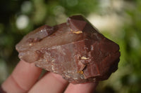 Natural Red Hematoid Quartz Specimens x 12 From Karoi, Zimbabwe