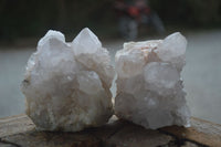 Natural White Spirit Cactus Quartz Clusters  x 6 From Boekenhouthoek, South Africa - Toprock Gemstones and Minerals 