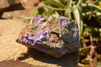 Natural Rough Stichtite & Serpentine Cobbed Specimens  x 5 From Barberton, South Africa - TopRock